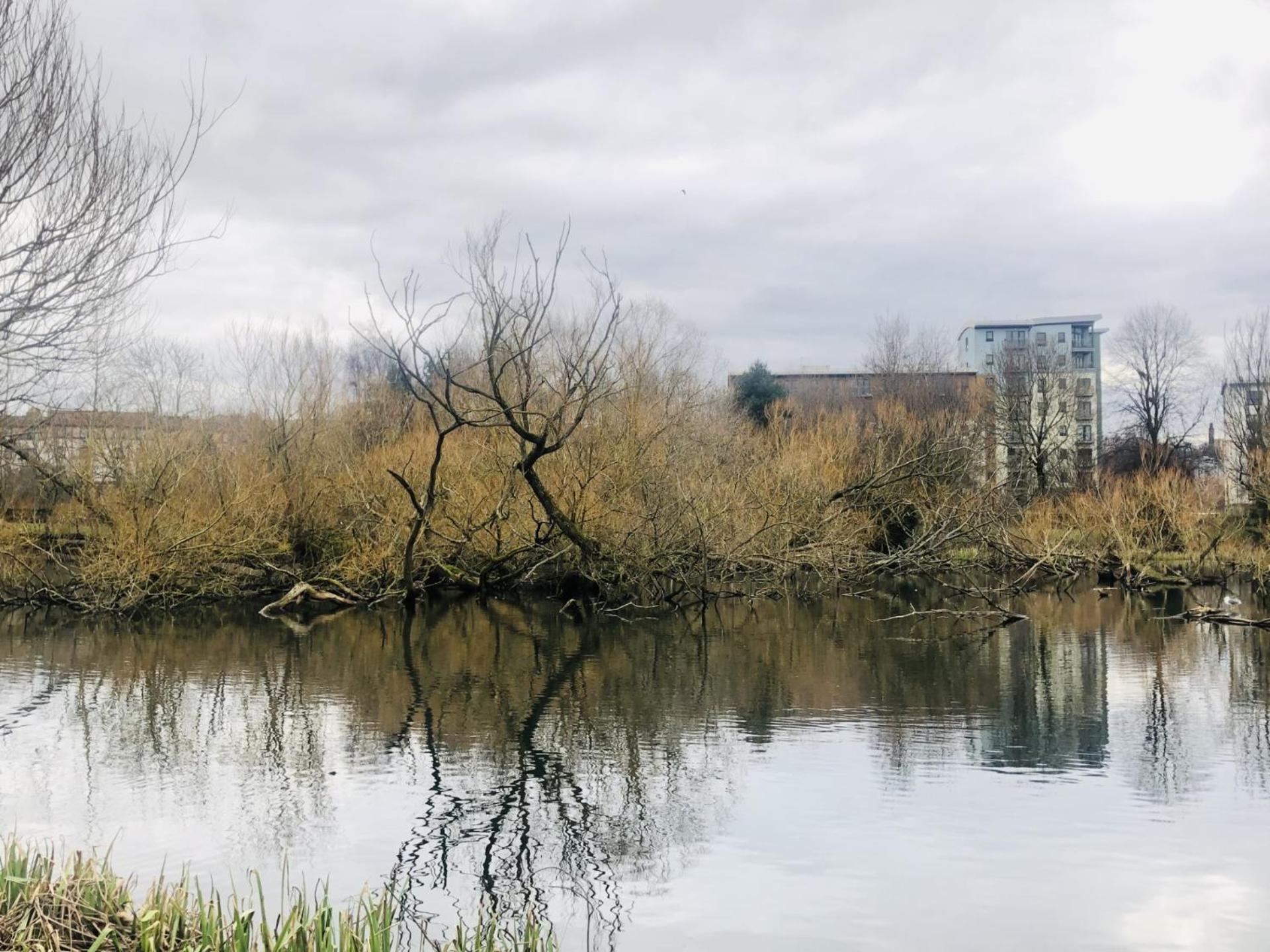 Modern Spacious Retreat Full Fibre Wi-Fi & Free Parking Edimburgo Exterior foto